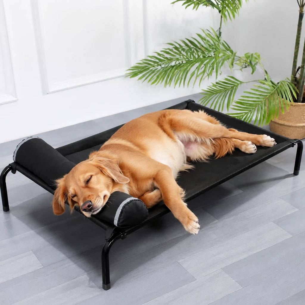Elevated Dog Cot Bed with Removable Cover