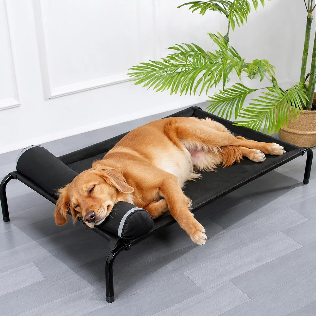 Elevated Dog Cot Bed with Removable Cover