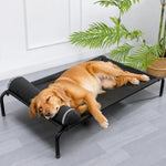 Elevated Dog Cot with Nylon Mesh and Iron Frame