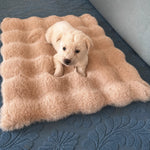 Pet Bed Mat for Cats, Dogs & Rabbits