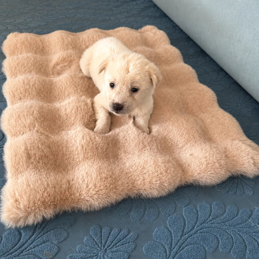 Pet Bed Mat for Cats, Dogs & Rabbits