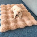 Pet Bed Mat for Cats, Dogs & Rabbits