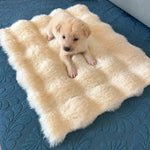 Pet Bed Mat for Cats, Dogs & Rabbits