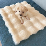 Pet Bed Mat for Cats, Dogs & Rabbits