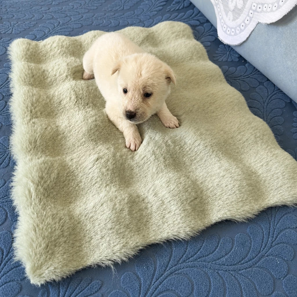 Pet Bed Mat for Cats, Dogs & Rabbits