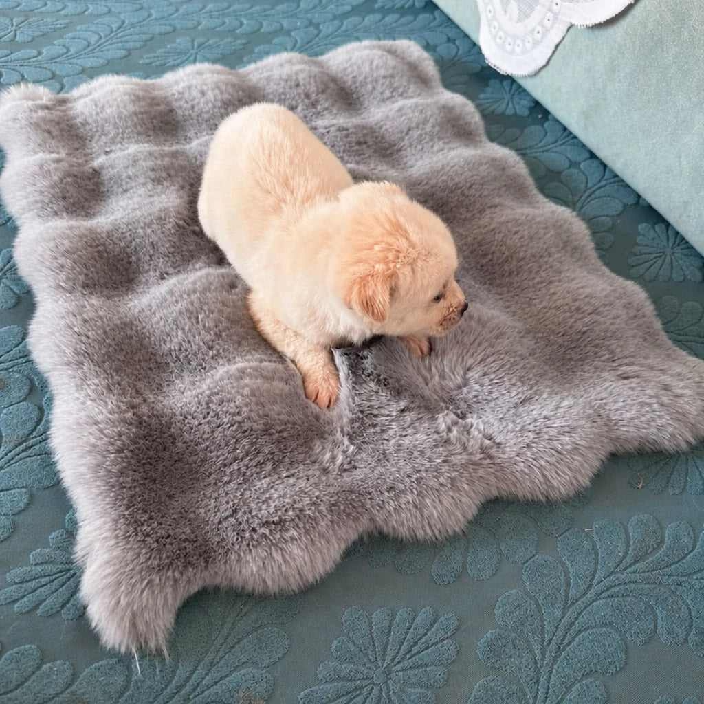 Pet Bed Mat for Cats, Dogs & Rabbits