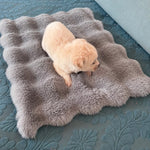 Pet Bed Mat for Cats, Dogs & Rabbits