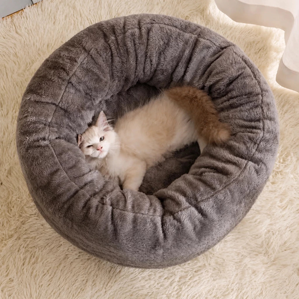 Pet Bed and Cushion for Cats and Small Dogs
