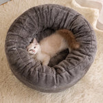 Pet Bed and Cushion for Cats and Small Dogs