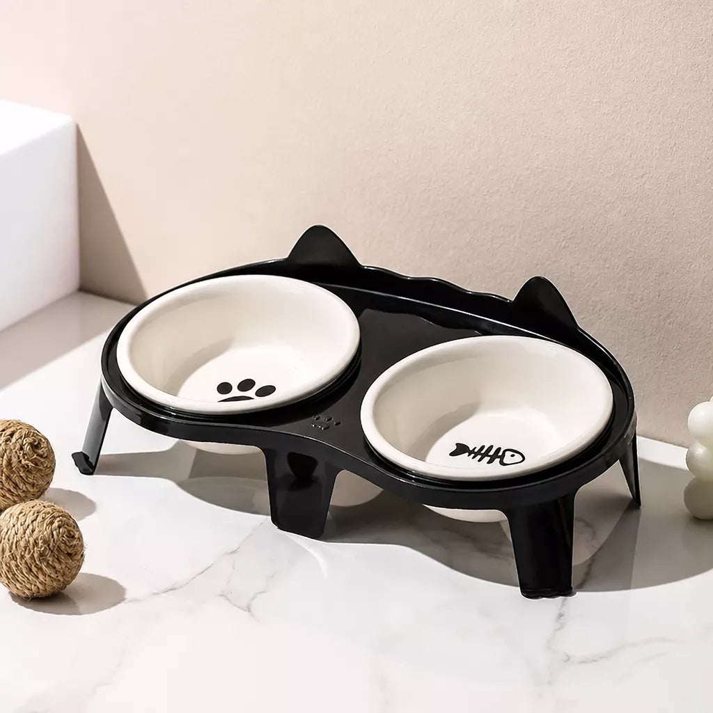 Elevated Ceramic Double Bowl Set for Cats