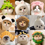 Character Costume Pet Hat for Cats and Dogs