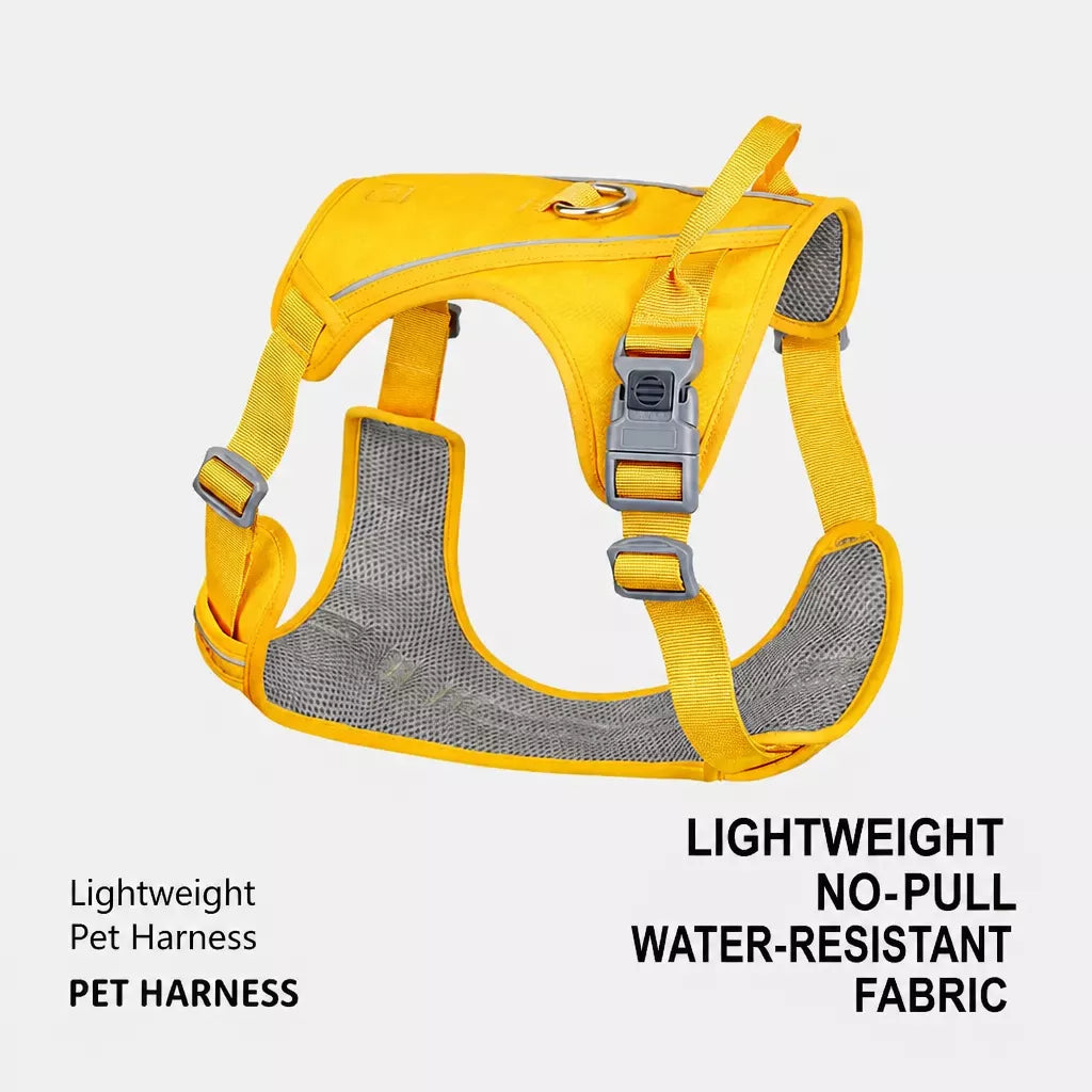 Nylon Dog Harness and Leash Set