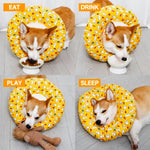 Soft Recovery Cone Collar for Dogs