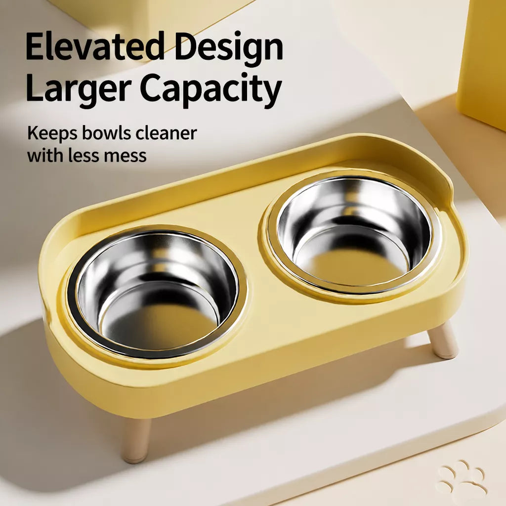 Small Dog Stainless Steel Bowl and Stand Set
