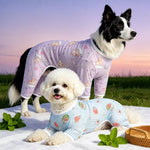 Four-Leg Dog Shirt with Cartoon Print