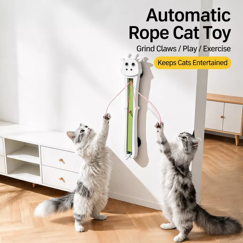 Automatic Wall-Mounted Cat Teaser Toy with Interactive Rope