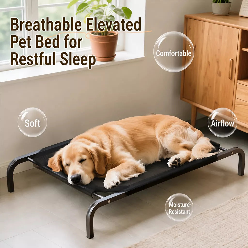 Elevated Dog Cot with Nylon Mesh and Iron Frame