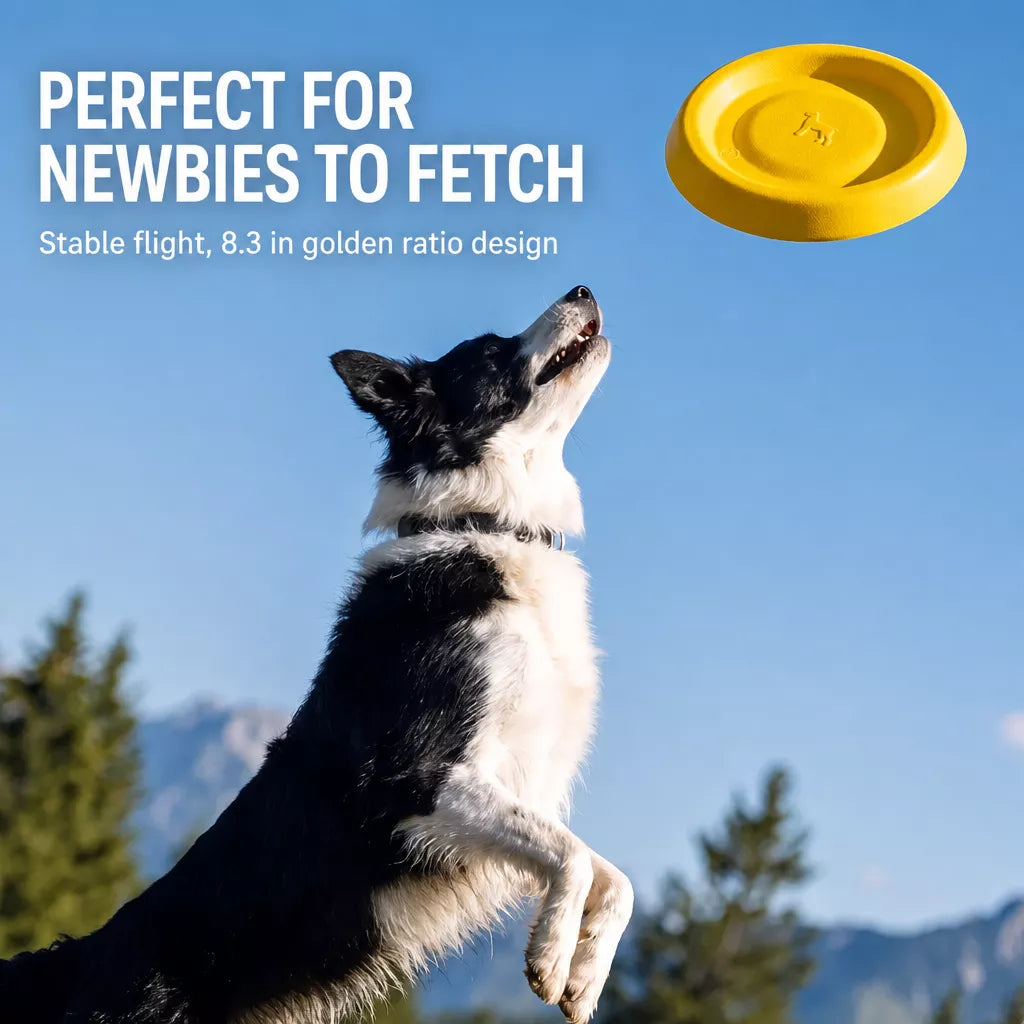 Floating Flying Disc Dog Toy Sets for Fetch and Water Play