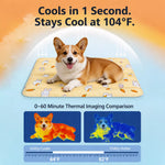 Plastic Pet Rest Mat for Dogs and Cats