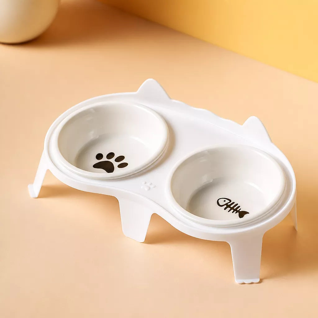 Elevated Ceramic Double Bowl Set for Cats