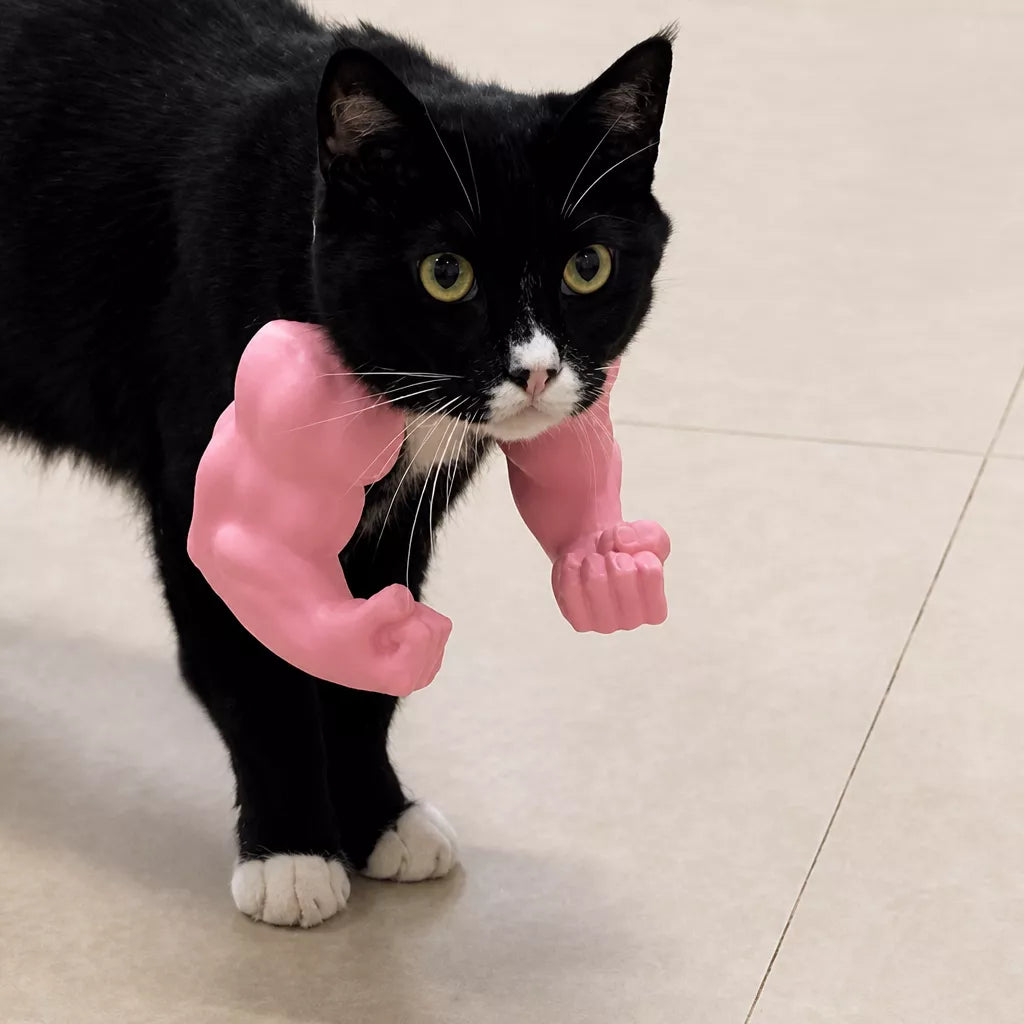 3D-Printed Muscular Arm Pet Neck Accessory