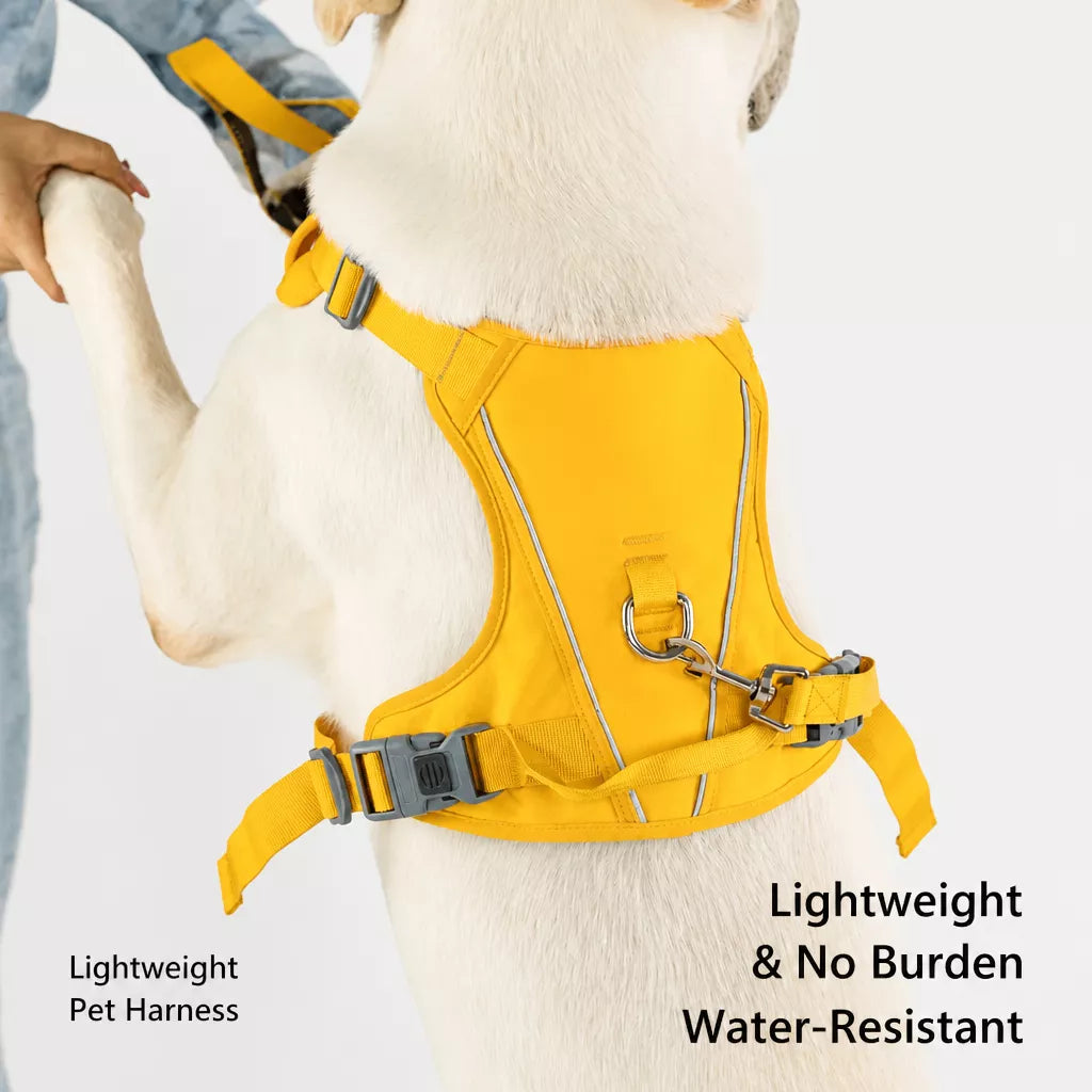 Nylon Dog Harness and Leash Set