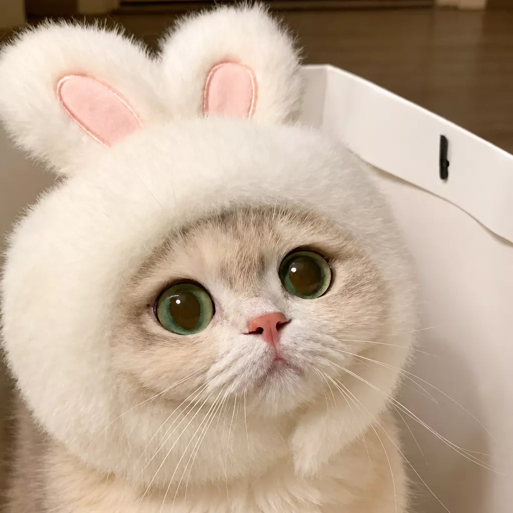 Character Costume Pet Hat for Cats and Dogs
