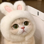 Character Costume Pet Hat for Cats and Dogs