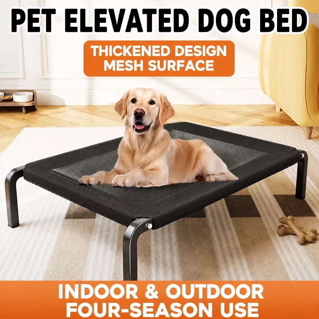Elevated Dog Bed with Nylon Cot and Stainless Steel Frame