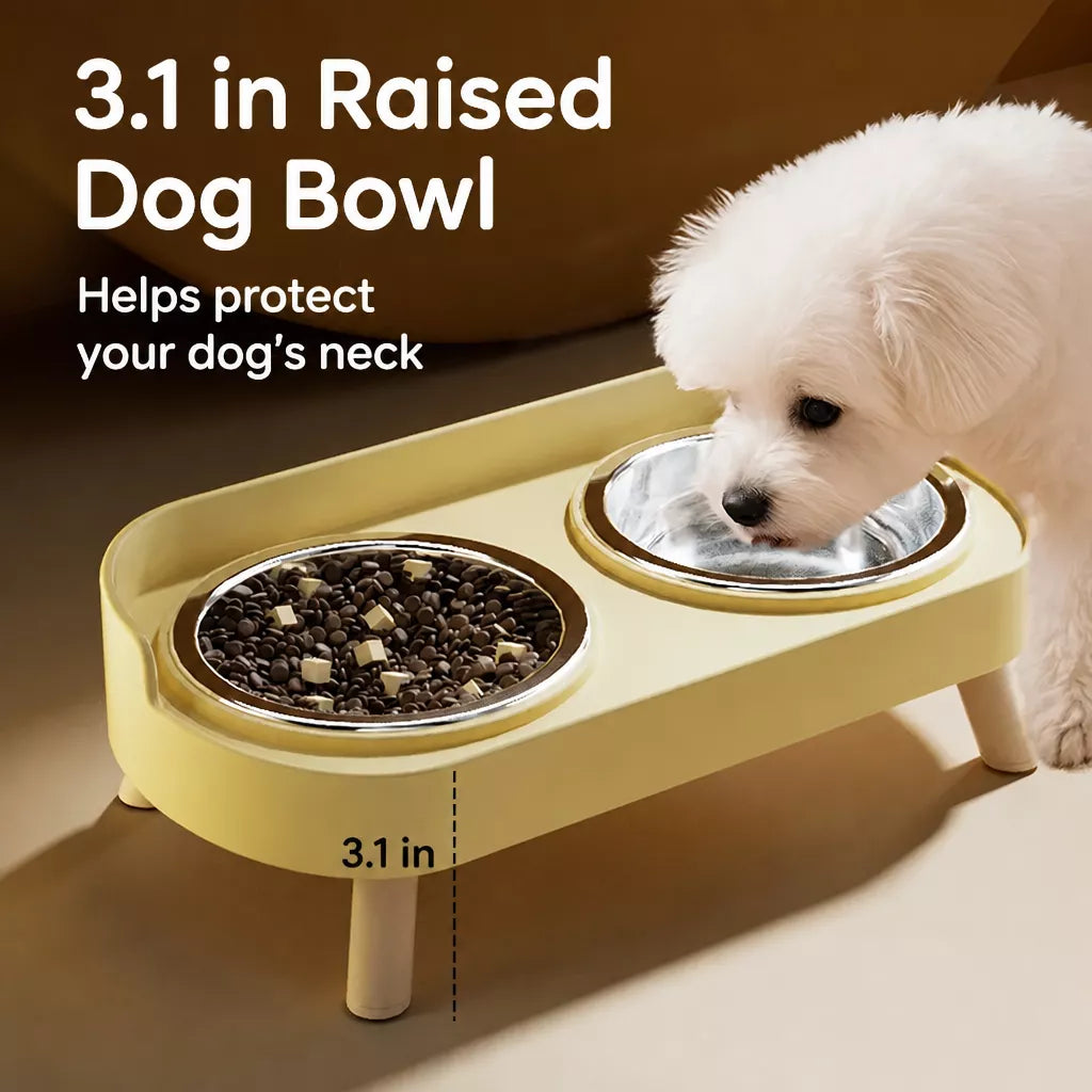 Small Dog Stainless Steel Bowl and Stand Set