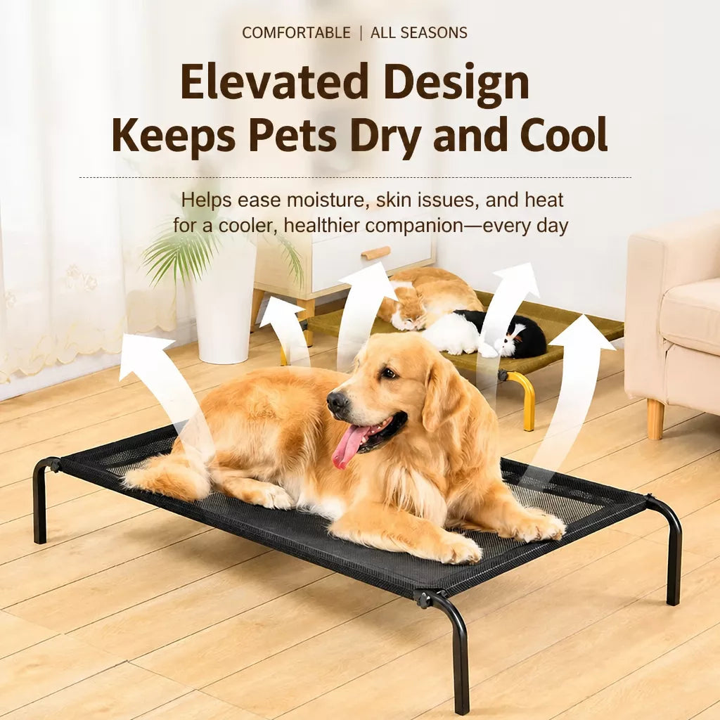 Elevated Dog Bed with Nylon Cot and Stainless Steel Frame