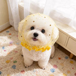 Mesh Dog Muzzle for Small Dogs
