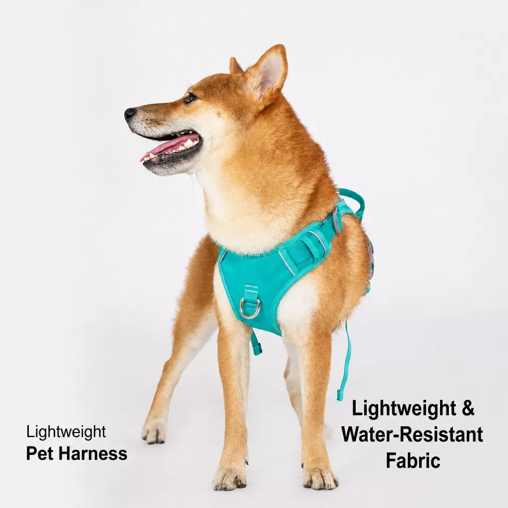 Nylon Dog Harness and Leash Set