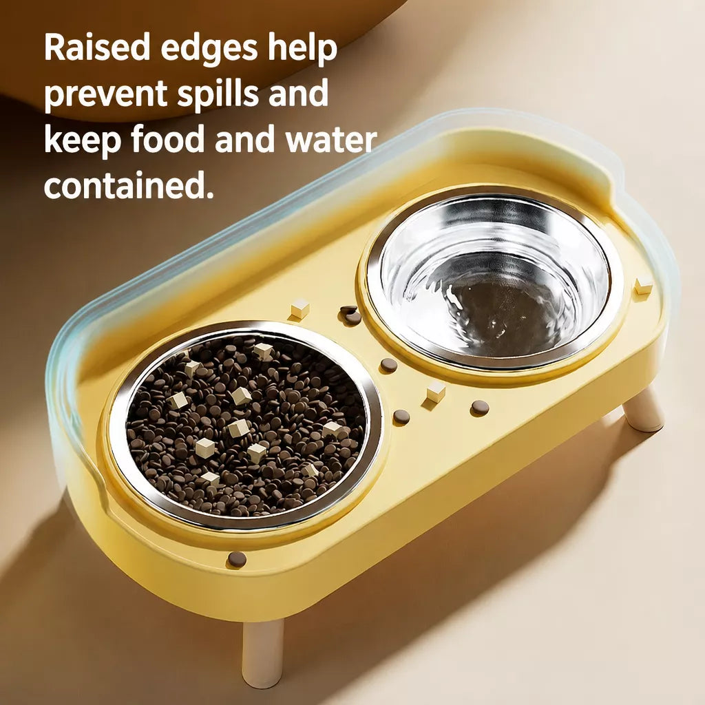 Small Dog Stainless Steel Bowl and Stand Set