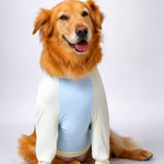 Lightweight Summer Shirt for Medium and Large Dogs