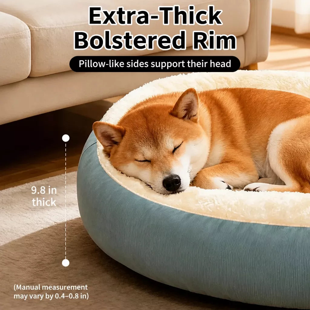 Dog & Cat Bed with Cushioned Base — All-Season & Winter Styles