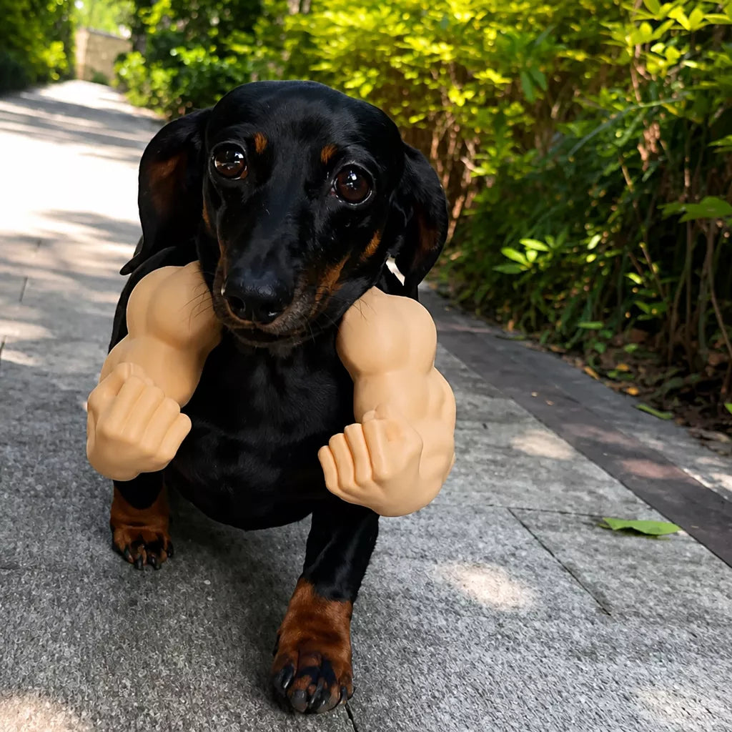 3D-Printed Muscular Arm Pet Neck Accessory