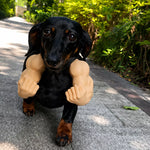 3D-Printed Muscular Arm Pet Neck Accessory