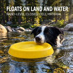 Floating Flying Disc Dog Toy Sets for Fetch and Water Play