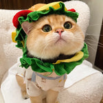 Character Costume Pet Hat for Cats and Dogs