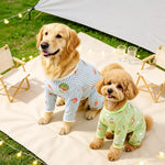 Four-Leg Dog Shirt with Cartoon Print