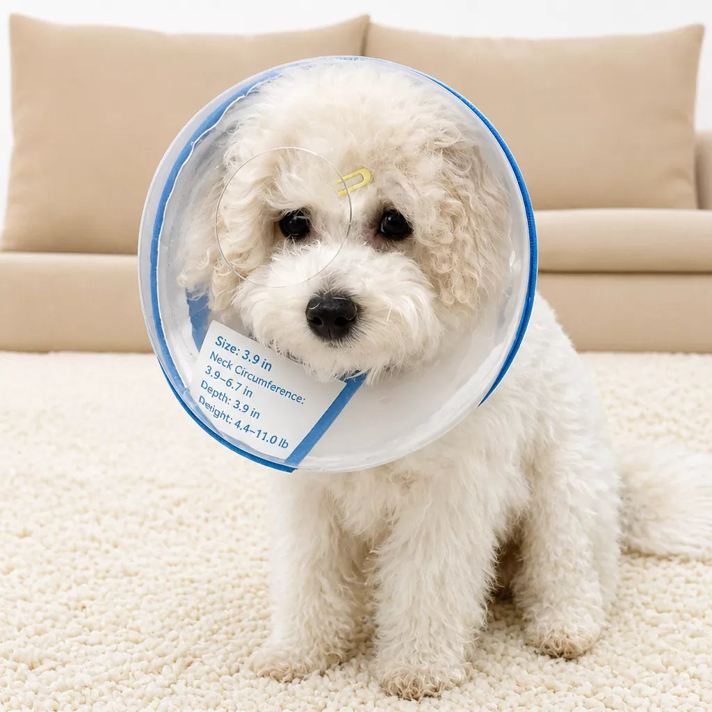 Plastic Recovery Cone for Small Dogs