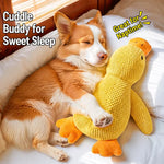 Plush Squeaky Dog Toy Collection