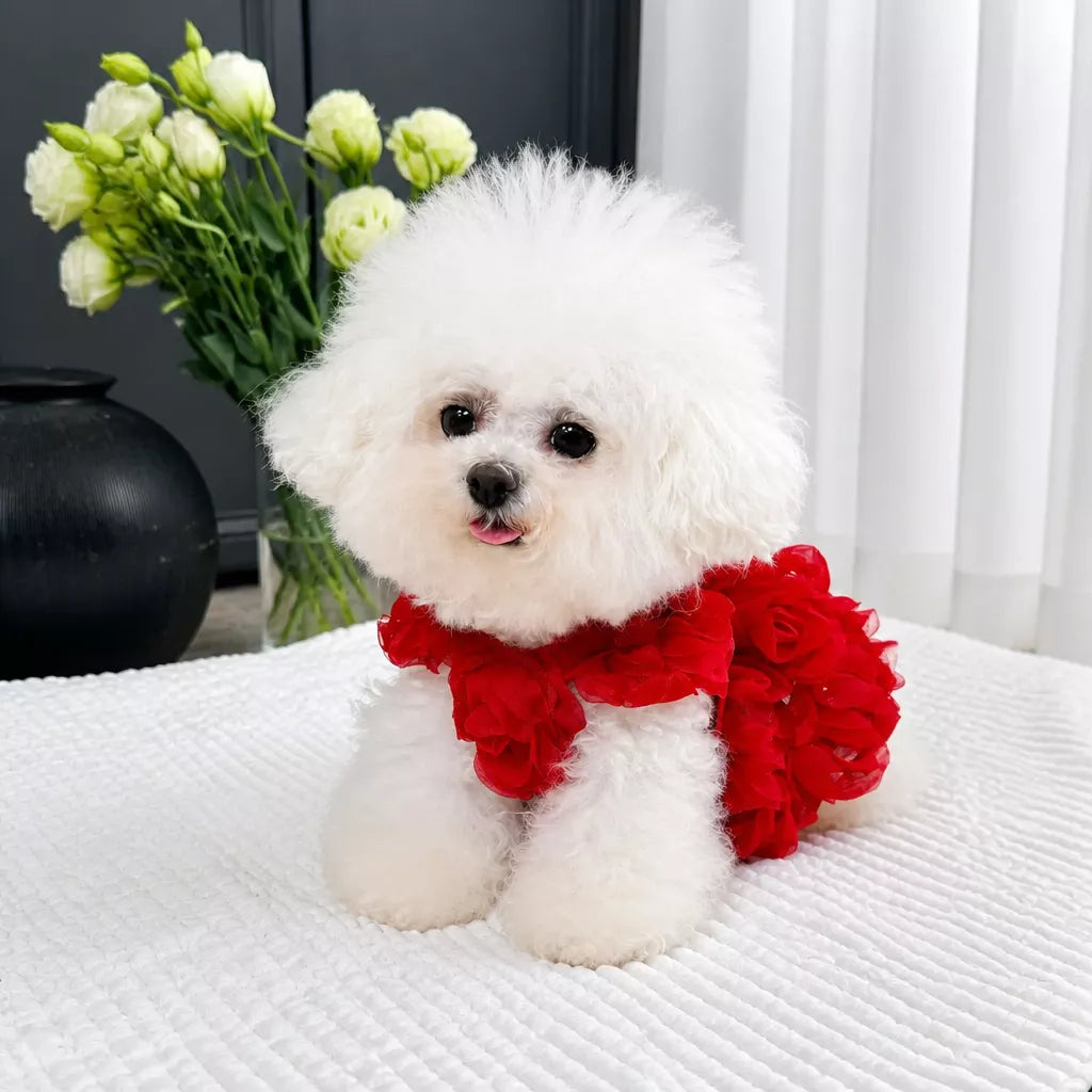 Summer Princess Dress for Dogs and Cats