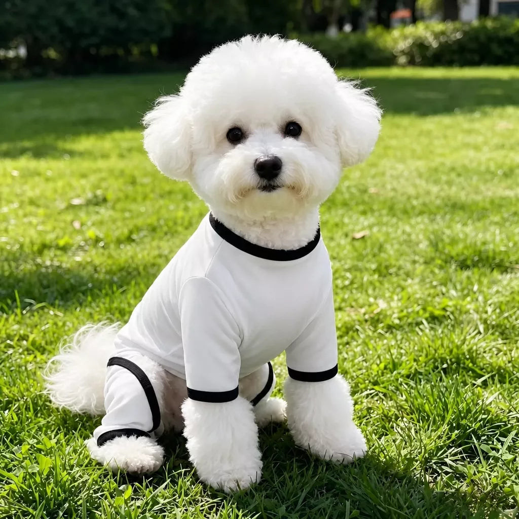 Lightweight Mesh Pet Shirt