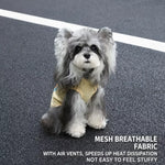 Small-Breed Dog Summer Vest