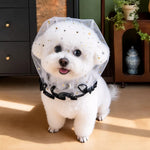 Mesh Dog Muzzle for Small Dogs