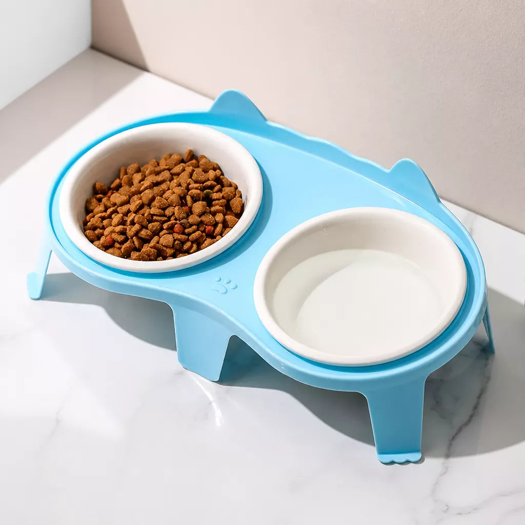 Elevated Ceramic Double Bowl Set for Cats