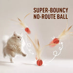 Cat Feather Teaser Ball Toy