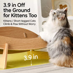Sisal Cat Scratcher Lounge Bed